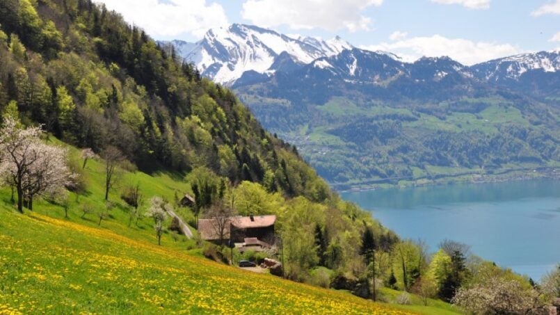 Gruppenhaus Arche Stiftung Ruchenberg Gersau mit Seeblick und Bergen im Hintergrund
