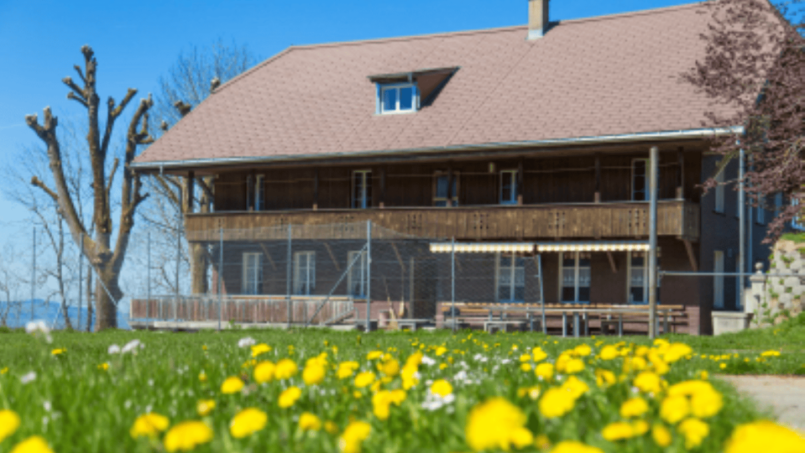 Braunes Ferienheim Honegg in Süderen als Gruppenunterkunft mit gelber Blume davor
