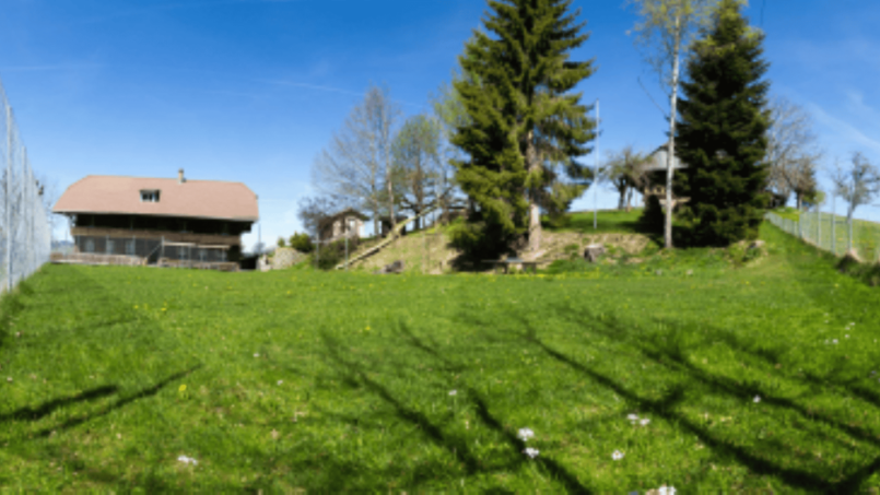 Ferienheim-Honegg-Gruppenunterkunft-in-Süderen-mit-grüner-Wiese-Bäumen-und-Zaun