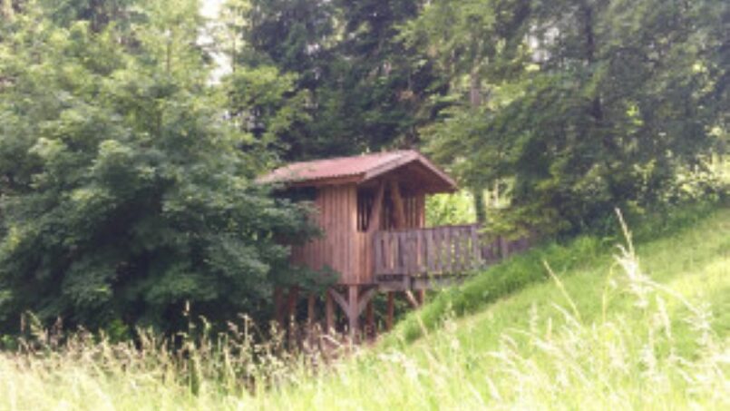 Gruppenunterkunft Jugend- und Erlebnishaus Eichberg - kleine Holzhütte im grünen Feld