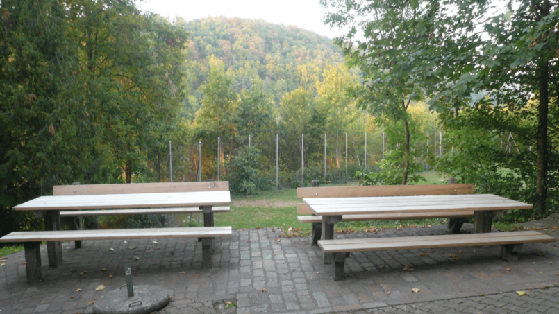 Gruppenhaus Pfadihaus Ormalingen Holz Picknicktische im Waldgebiet