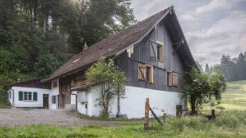 Gruppenhaus-Pfadiheim-Alt-Uetliberg-im-Wald-Üetliberg