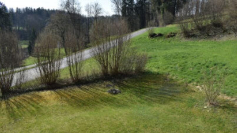 Gruppenhaus-Regional-Zentrum-Aawangen-Natur-Hintergrund
