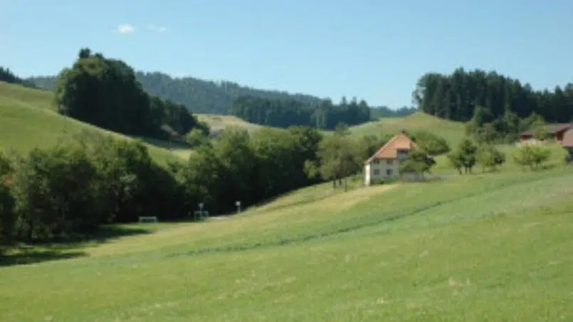 Gruppenhaus-Sunneheim-Wyssachen-mit-grünem-Feld-und-Bäumen-im-Hintergrund