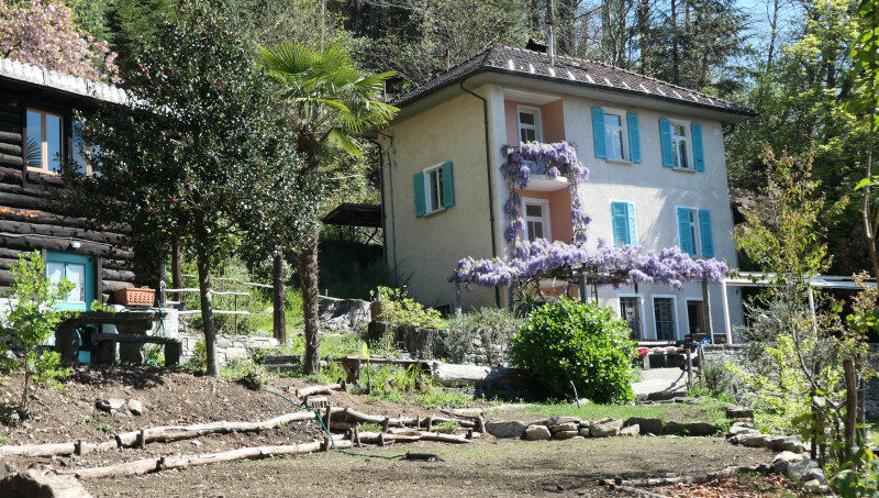 Gruppenhaus La Pineta in Locarno umgeben von Wald