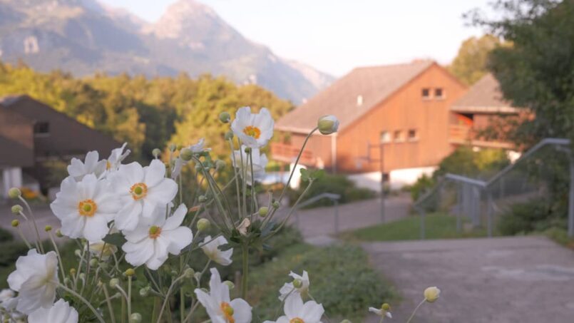 Gruppenunterkunft CVJM Zentrum Hasliberg Ferienhotel Engelhorn Haus mit Bergpanorama und weissen Blumen
