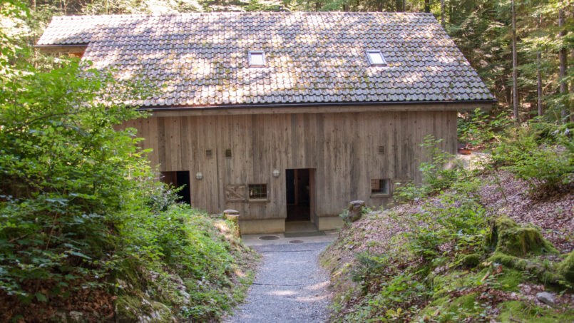 Gruppenhaus Waldhütte Seelisberg im Wald