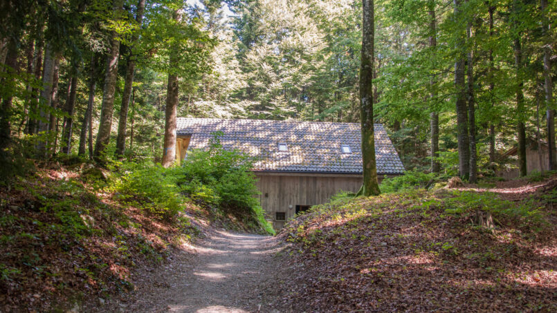 Gruppenhaus Waldhütte Seelisberg - Holzhütte im Wald mit Weg