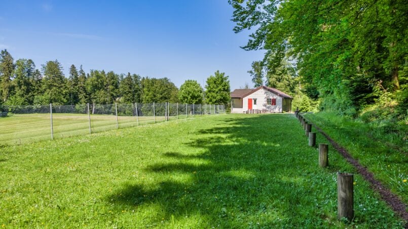 Gruppenhaus Pfadiheim Reiden auf grüner Wiese mit Holzzaun