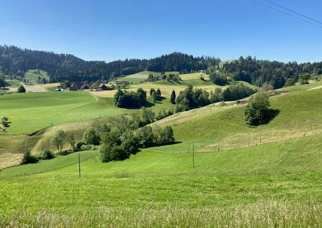  Ferienheim Wisli umgeben von Wäldern und Wiesen